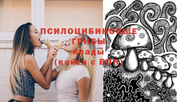 СК Анива