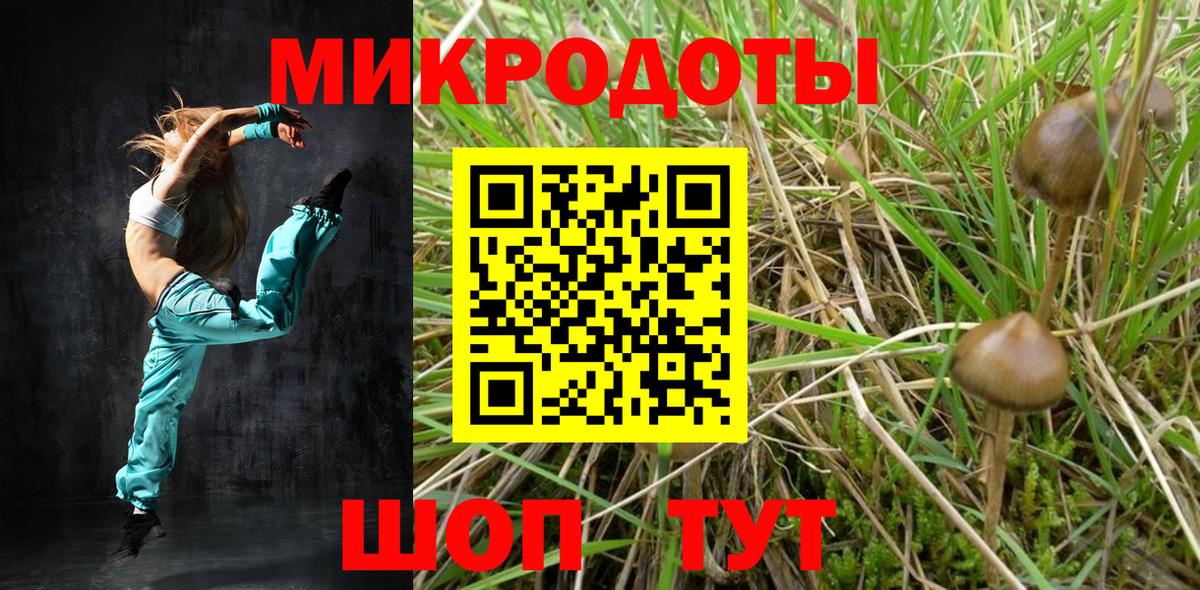 Галлюциногенные грибы мицелий Мурино