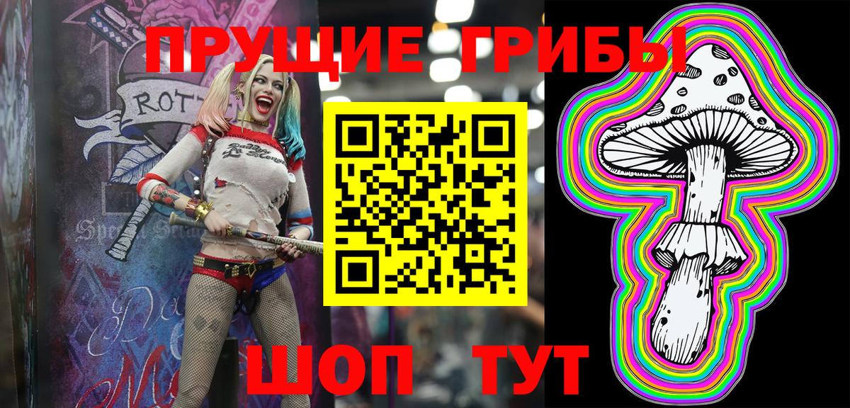 Псилоцибиновые грибы Psilocybe  Вход с VPN  Мурино 